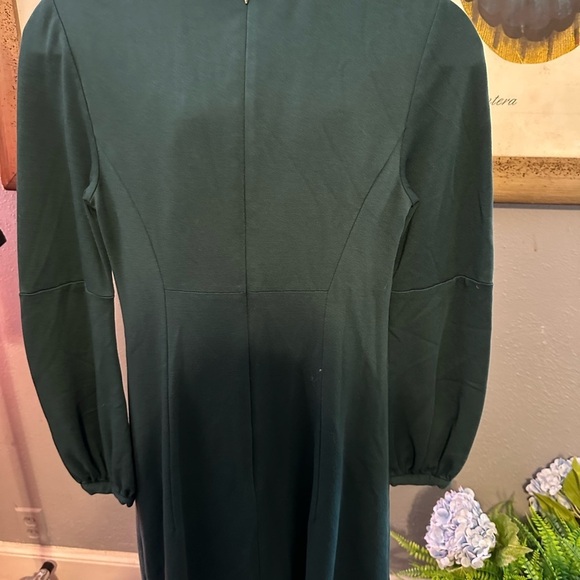 Indra dress by Trina Turk green dress. Euc - Picture 8 of 11